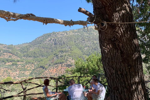 A cidade de Fornalutx e as caminhadas até à quinta de oliveiras da montanha