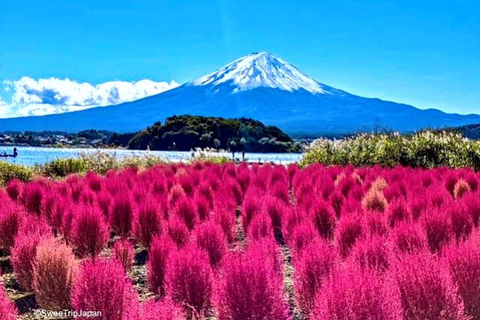 Mt. Fuji One Day Private Tour with English Speaking Driver