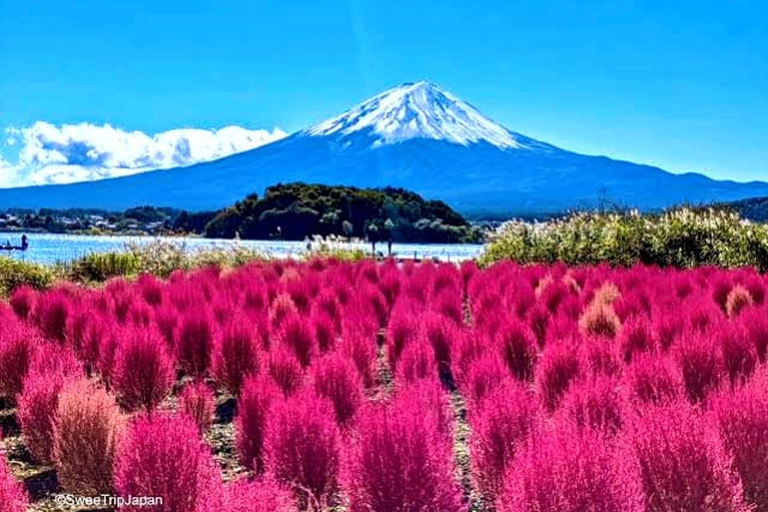 Mt. Fuji One Day Private Tour with English Speaking Driver