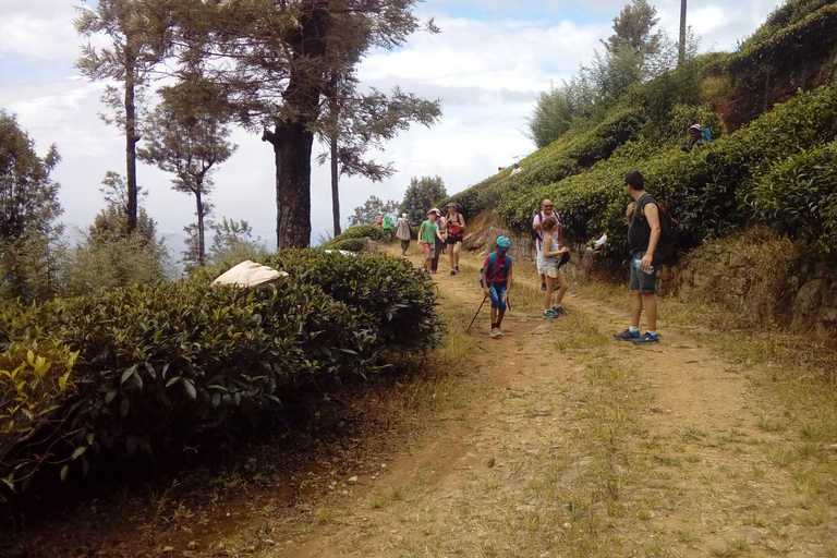 Trekking z Kandy do Ella