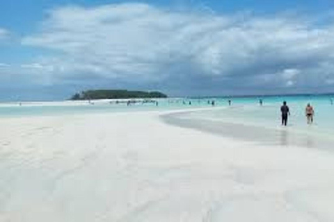 Jozani skog och mtende strand