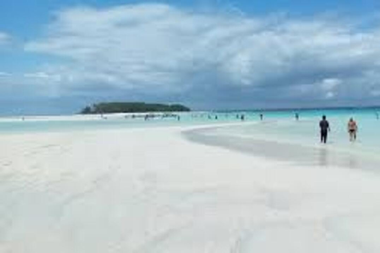 Jozani bos en mtende strand