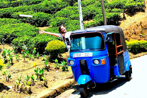 Kandy to Nuwara Eliya Transfer & Ambewala Train Ride to Ella