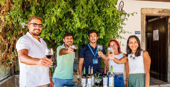 Lisbon: Arrábida and Sesimbra Day Trip with Wine