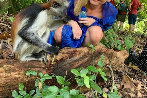 Zanzibar: Private Jozani Forest Tour with Local Guide.