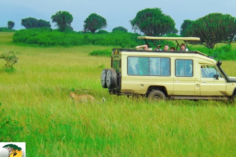 10-Day Uganda Rwanda Congo Tanzania Burundi Safari Tour