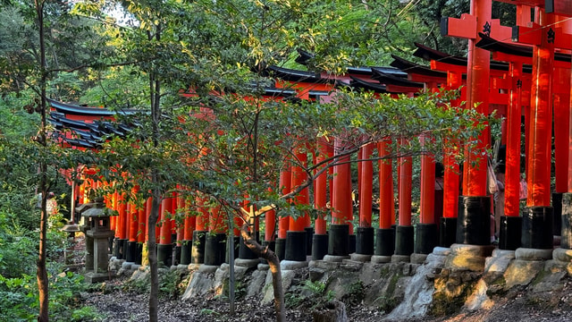 Uji & Fushimi Inari Adventure: Tea, Temples, and Torii Gates