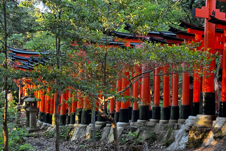 Uji &amp; Fushimi Inari Adventure: Tea, Temples, and Torii Gates