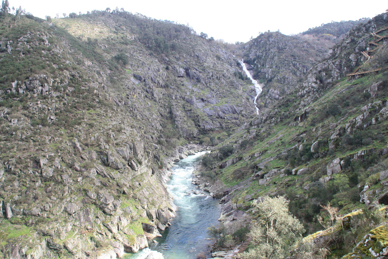 From Porto: 516 Arouca Bridge & Paiva Walkways - Guided Tour