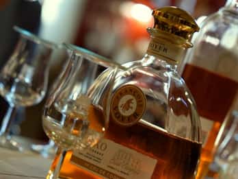Workshop „Nez du Cognac” in Cognac