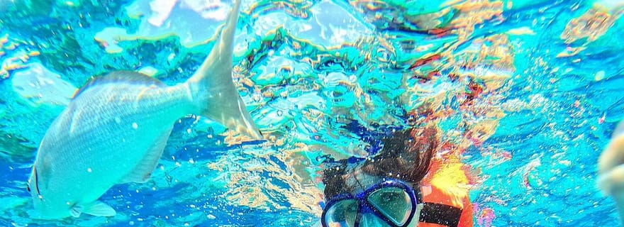 Île de Pungume à Zanzibar, plongée avec tuba, banc de sable, déjeuner barbecue