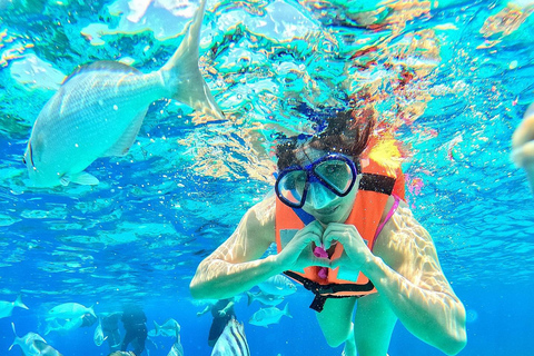 Snorkelen op Zanzibar + zeesterren en bloementuinkoralenzanzibar snorren en zeesterren