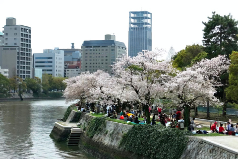Hiroshima: Private Hiroshima & Miyajima Day Trip with Car