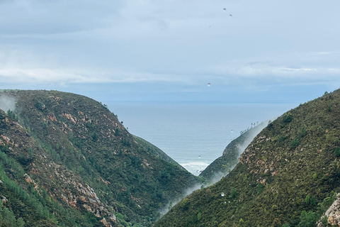Tsitsikamma Day Trip with Optional Activities