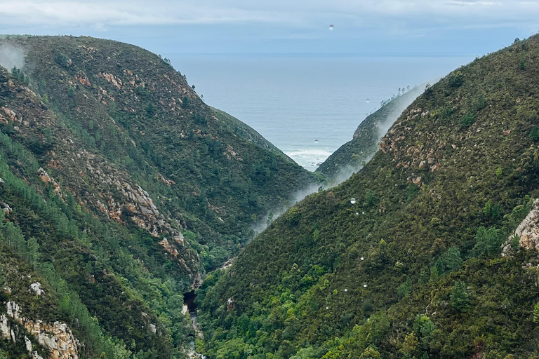 Tsitsikamma Day Trip with Optional Activities
