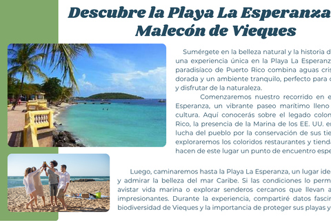 Vieques Beach & BioBay With Ferry & Beach Transfer