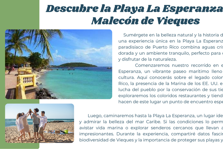 Vieques Beach & BioBay With Ferry & Beach Transfer
