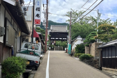 Katsuragi: Einzigartige Sumo-Erfahrung