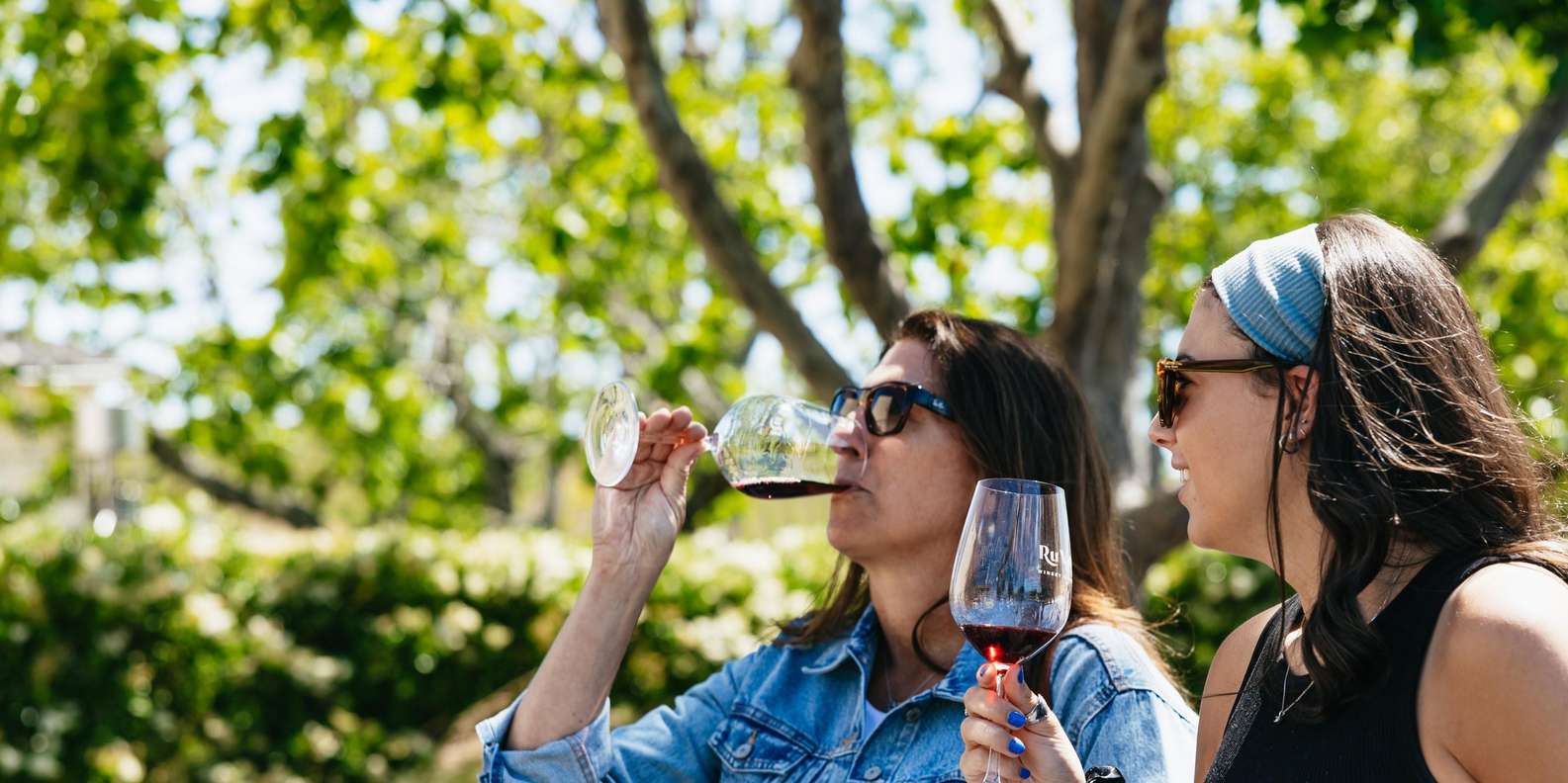 San Francisco: Napa and Sonoma Valley Wine Tour