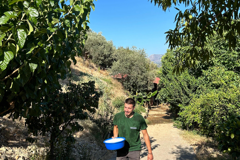 Gebiet Chania: Kochkurs auf einem Bauernhof im Dorf StylosKochkurs mit traditionellen Gerichten und biologischen Lebensmitteln