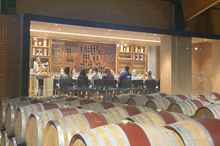 Farellones and Casablanca Valley: Private Mountain Tour and Premium Wines