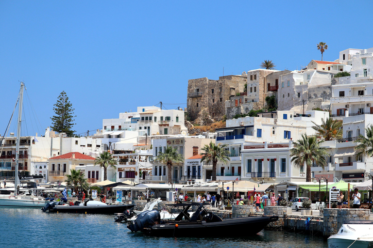 From Hammamet & Sousse: Sunset Tour of Sidi Bou Said and Carthage