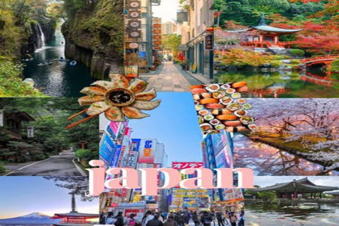 Osaka/Kyoto/Nara: Private Full-Day Sightseeing Tour Hiroshima Private Tour