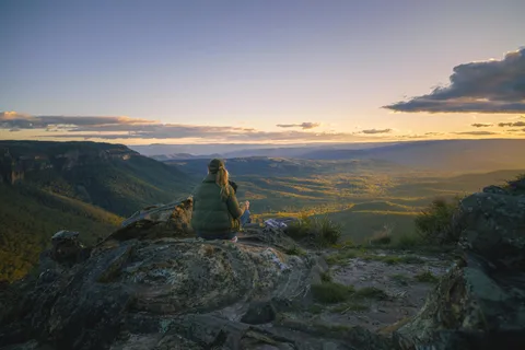Intima Blue Mountains Vilda kängurur, vildmark och solnedgång