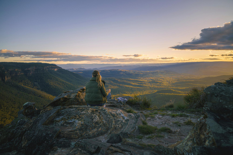 Intimate Blue Mountains Wild Kangaroos, Wilderness & Sunset