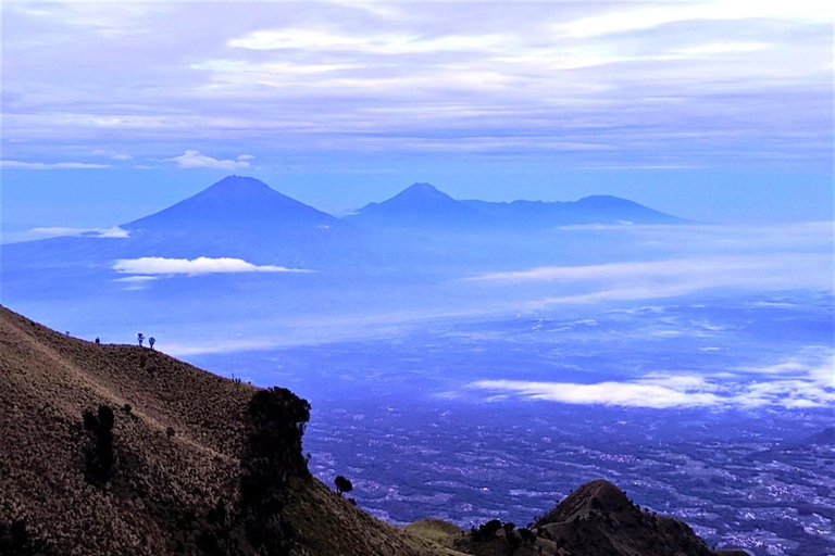 Von Yogyakarta aus: Berg Merbabu Ein-Tages-Wandertour