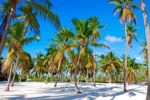 Excursão à Ilha Saona e ao Rio Chavon com almoço e bebidasOpção de excursão regular em grupo compartilhado