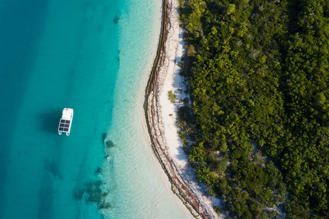 Key West : observation des dauphins et snorkeling guidée avec Honest EcoKey West : observation des dauphins et snorkeling guidé avec Honest Eco