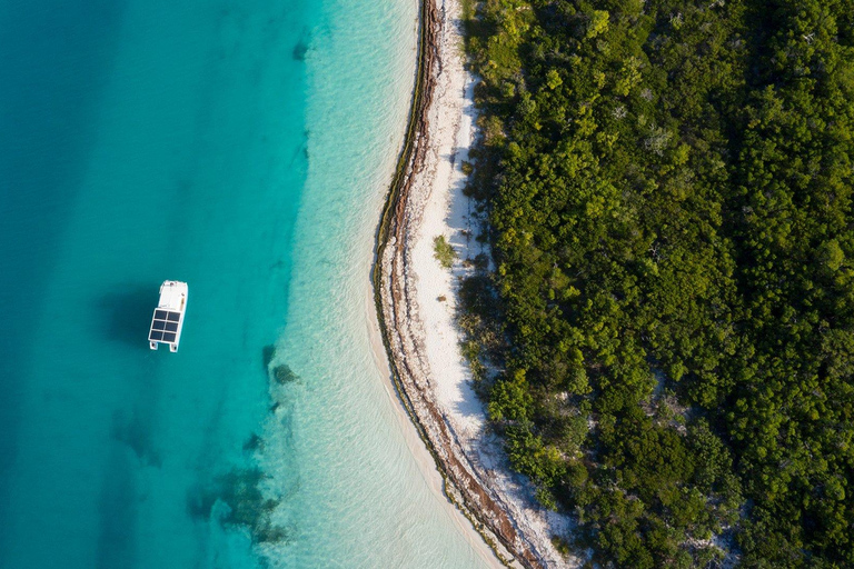 Key West : observation des dauphins et snorkeling guidée avec Honest EcoKey West : observation des dauphins et snorkeling guidé avec Honest Eco