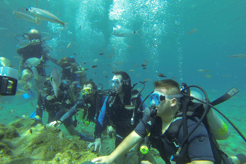 Marmaris: Beginner-Friendly Scuba Diving Tour Marmaris: Scuba Diving Without Hotel Transfer