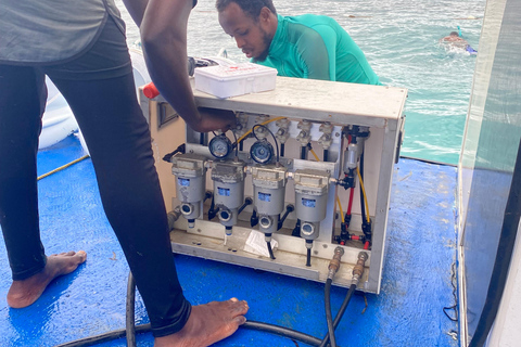 تجربة المشي تحت الماء في زنجبار، لا حاجة للسباحة