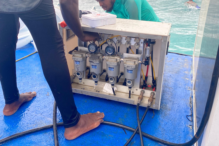 تجربة المشي تحت الماء في زنجبار، لا حاجة للسباحة