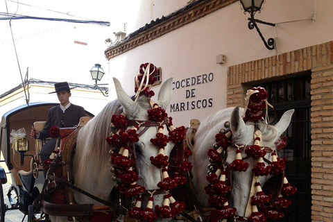 Córdoba: Private Horse-Drawn Carriage Ride Through the Jewish Quarter and the Mosque Private Carriage without a Live Guide (Max. 4 People)