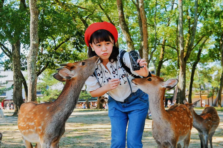 Kyoto/Nara: Exclusive Private Guided Tour with Hotel Pickup