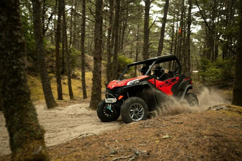 Hammamet: Premium Buggy Tour with Photo Stops