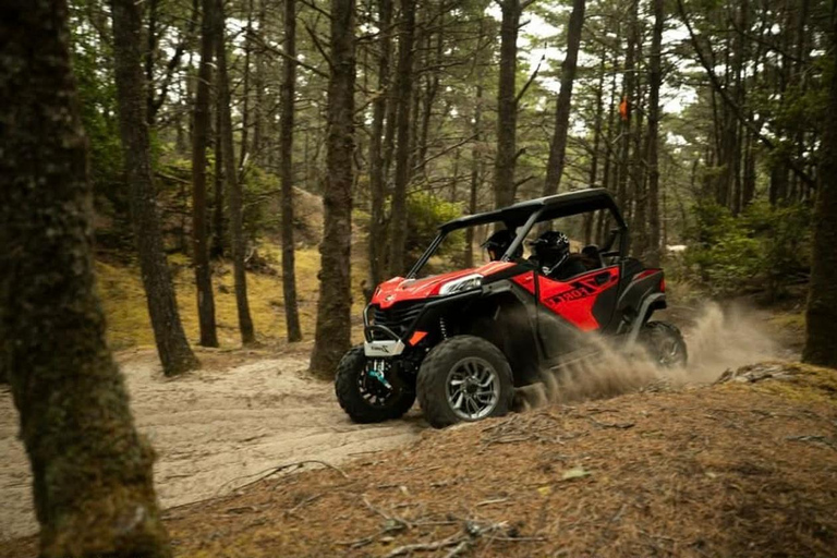 Hammamet: Premium Buggy Tour with Photo Stops