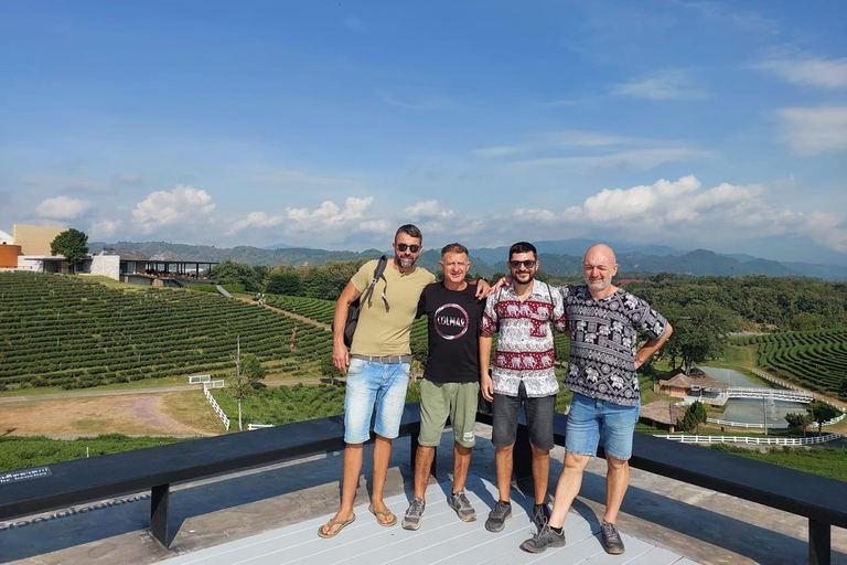 Chiang Rai: Top Temples & Signature Attractions ~Free Buffet