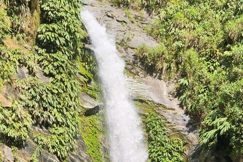 Santa Marta: 4-Day Nymejan Trek with Meals and Lodging