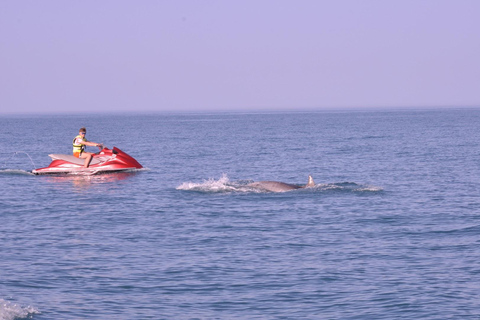 Surfea las olas: excursión guiada de 1,5 horas en moto acuática en Djerba.Surca las olas: tour guiado de 1,5 horas en moto acuática en Djerba