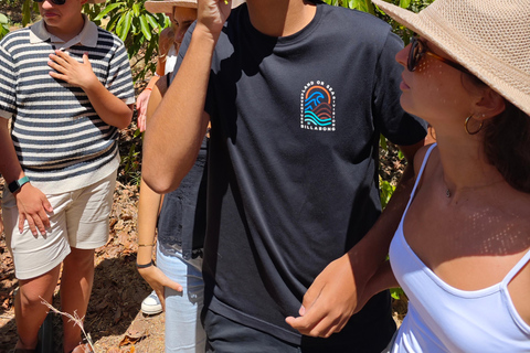 Tenerife: Avocado Farm Tour with Tasting Menu & Wine