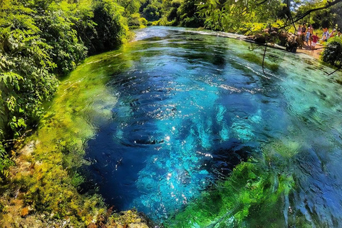 Tirana: Ksamil, Blue Eye, & Peshtura Waterfall Trip Private