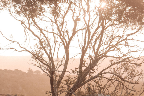 St Lucia: Safari Tour with Local Guide