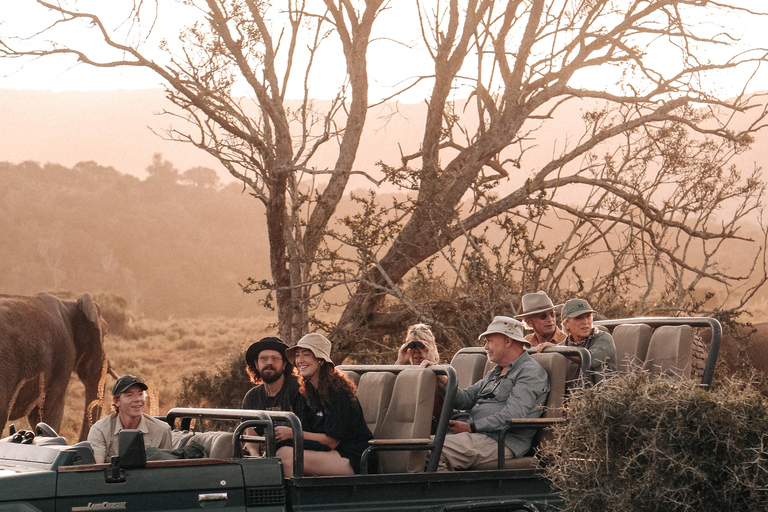 St Lucia: Safari Tour with Local Guide