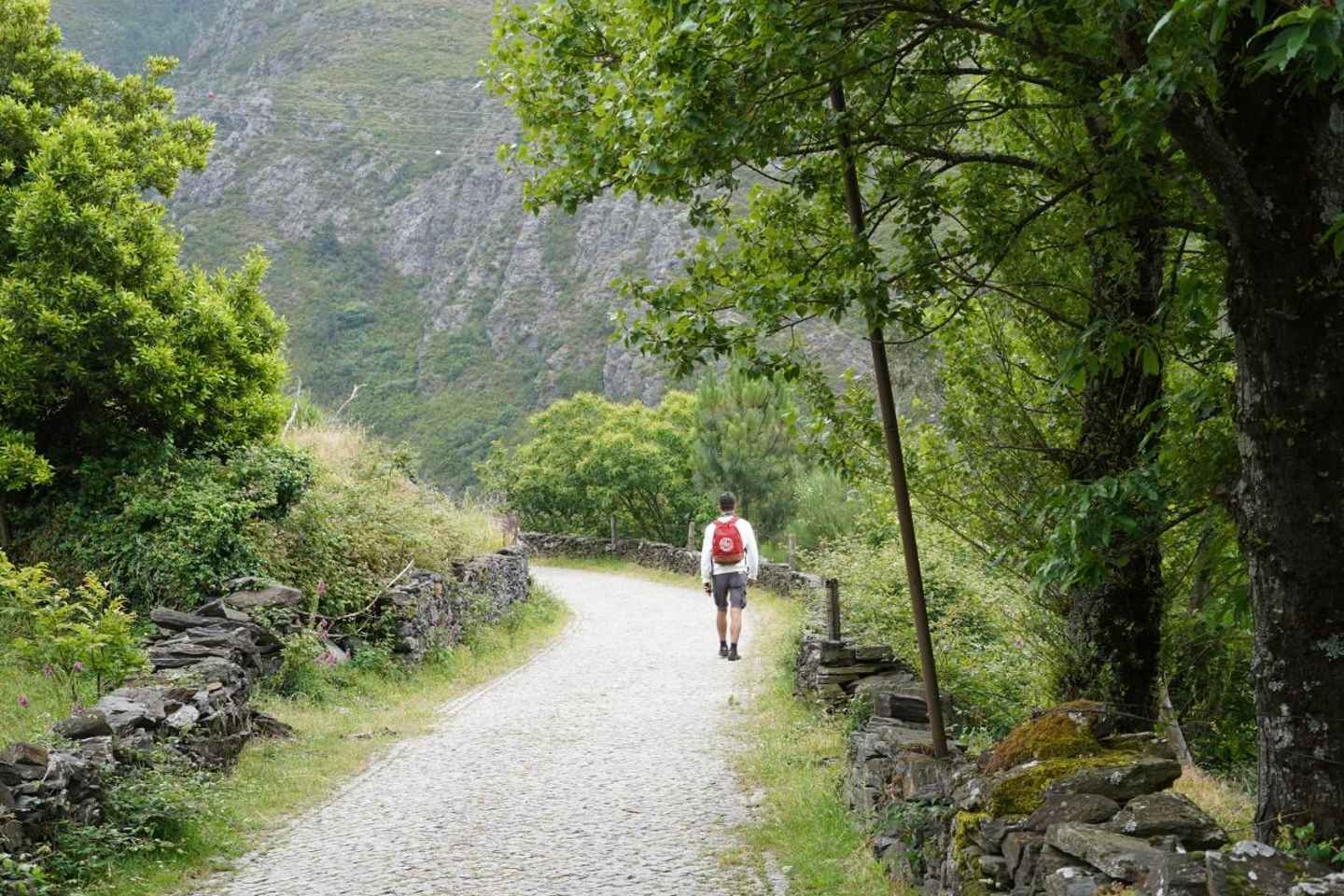 ALVÃO SHEPHERD'S HIKE