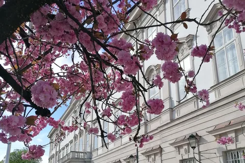 Salzburg: Classical Music Concert at the Mirabell