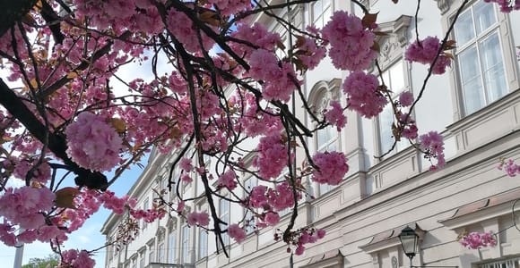 Salzburg: Classical Music Concert at Mirabell Palace Church